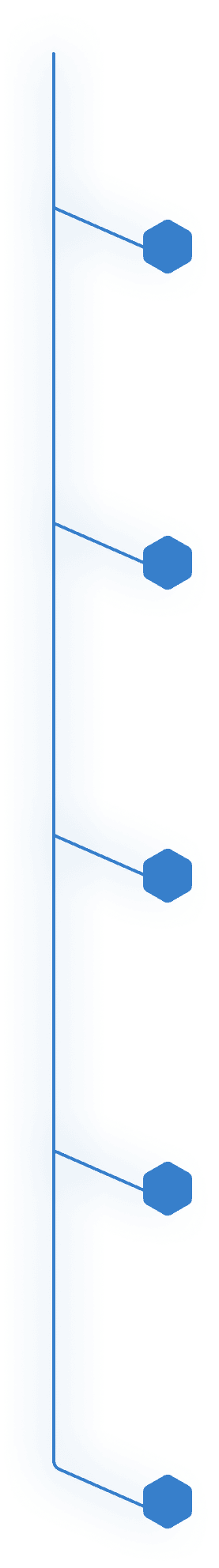 vector 6 1
